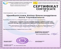 Аліна Цимбалістова - MySense