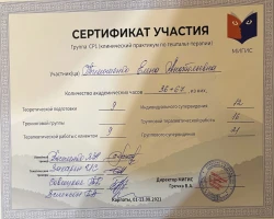 Олена Тимошенко - MySense