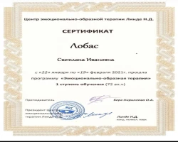 Світлана Лобас - MySense