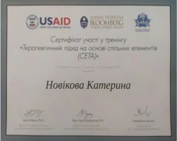 Катерина Новікова - MySense