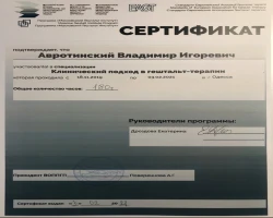 Володимир Авротинський - MySense