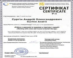 Андрій Сургін - MySense