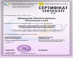 Лілія Шевцова - MySense